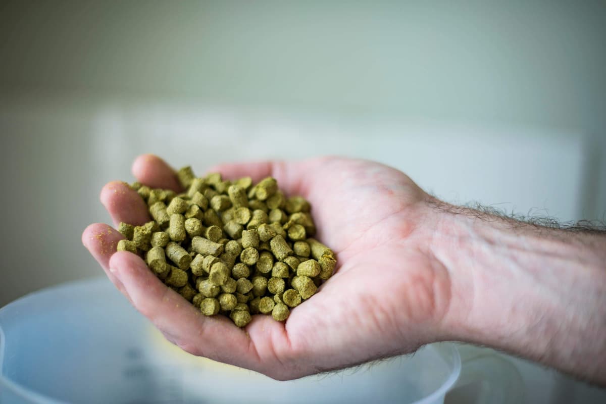 Hops